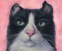 finickycat-portrait-carl