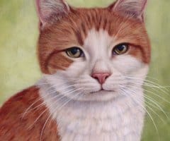 finickycat-portrait-chicken