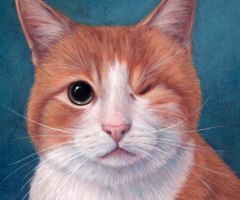 finickycat-portrait-jack