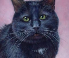 finickycat-portrait-sable