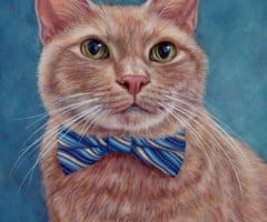 finickycat-portrait-sampson