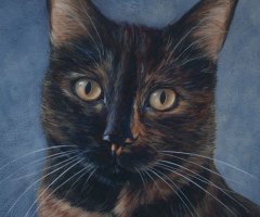 finickycat-portrait-tina